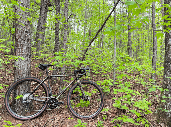 The experience behind both of my Scarab Bikes