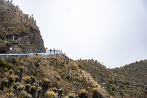 El Sifón. An annual calling