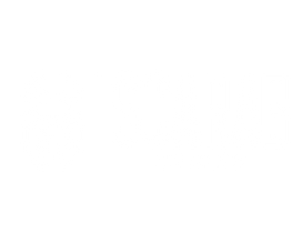 Scarab Cycles