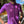 Pink Arlequin Jersey