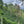 El Cascajal: Specialty Colombian Coffee Subscription